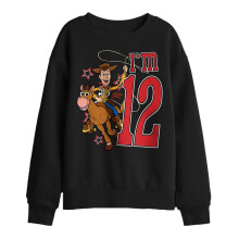 (9-11 Years, Black) Toy Story Childrens/Kids I'm 12 Woody Birthday Sweatshirt