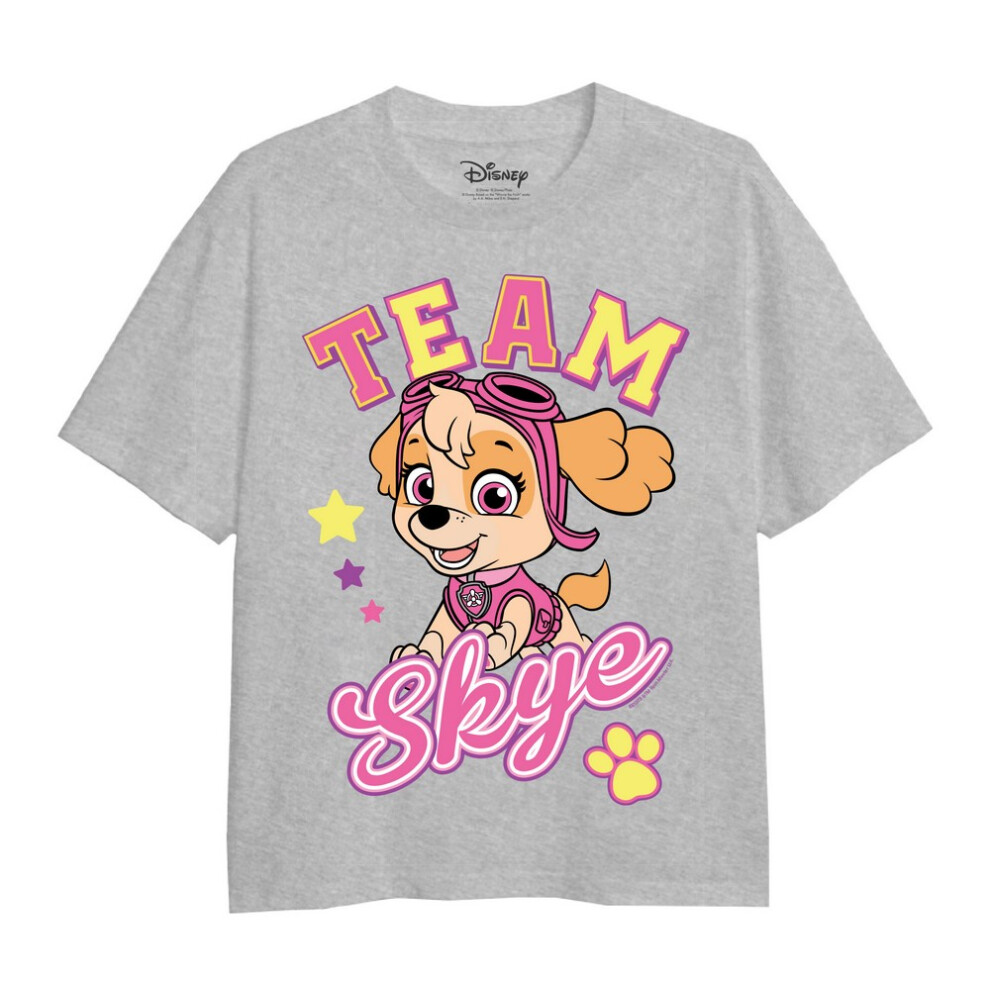 Paw Patrol (5-6 Years, Sports Grey) Girls Team Skye Heather T-Shirt