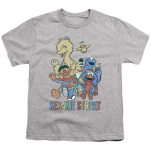 (5-6 Years, Sports Grey) Sesame Street Childrens/Kids Colourful Group T-Shirt