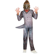 (9-10 Years, Grey) Jurassic World Childrens/Kids Halloween Costume