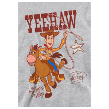 (9-11 Years, Athletic Heather) Toy Story Childrens/Kids Yeehaw Woody and Bullseye Heather Pullover Hoodie