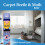 Zero In Carpet Beetle & Moth Killer 300ml Aerosol 10
