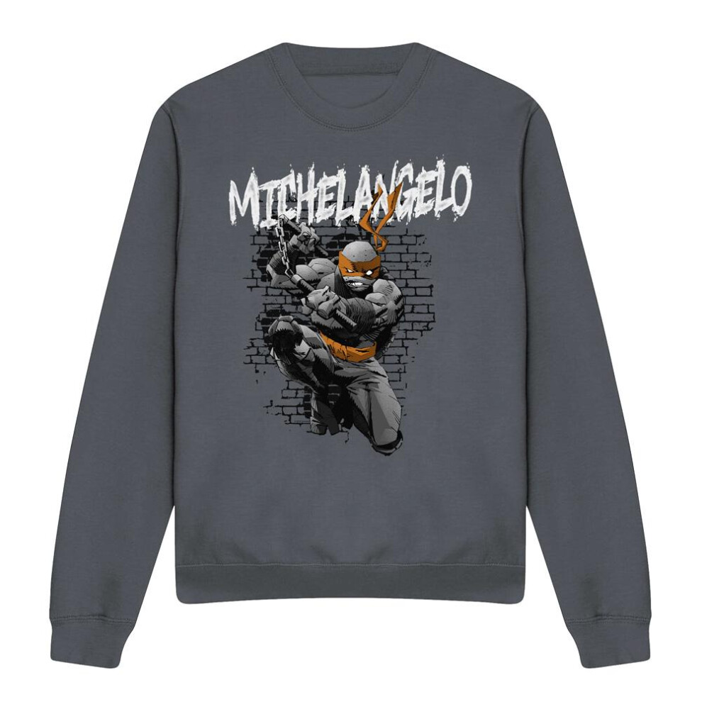 Teenage Mutant Ninja Turtles (Xxl, Charcoal) Unisex Adult Michelangelo Sweatshirt