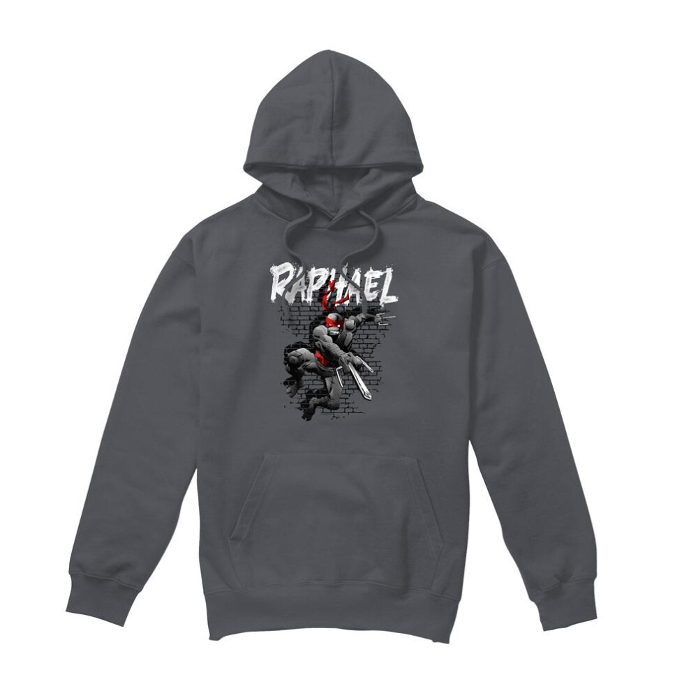 Teenage Mutant Ninja Turtles (Xl, Charcoal) Mens Raphael Hoodie