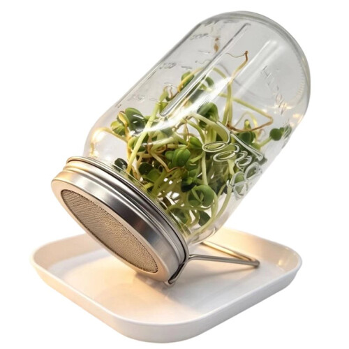 Kit di 2 Vasetti per Germinazione con Bocca Larga, Coperchi con Rete, Supporto e Vassoio. 1