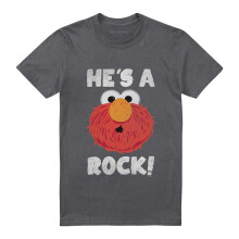 (XXL, Charcoal) Sesame Street Unisex Adult He's A Rock T-Shirt