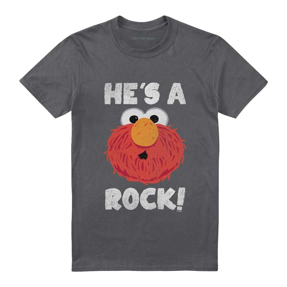 Sesame Street (Xxl, Charcoal) Unisex Adult He's A Rock T-Shirt Multicoloured
