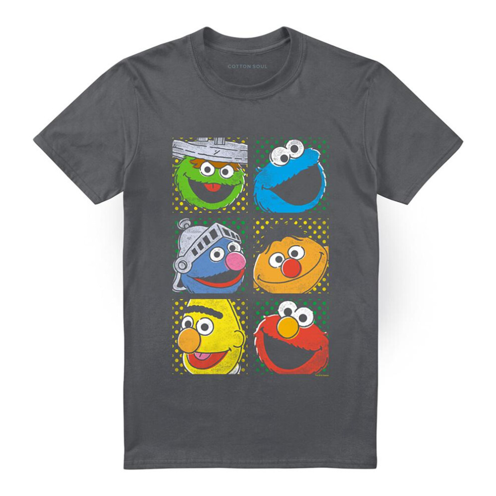 Sesame Street (L, Charcoal) Unisex Adult Group T-Shirt