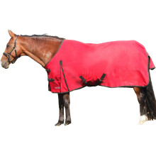 (6' 9", Red/Charcoal) HYCONIC 50g Standard-Neck 50g Horse Turnout Rug