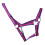 Hy Duo Head Collar 1