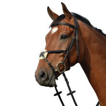 (Warmblood, Black) Collegiate Syntovia+ Padded Raised Figure 8 Bridle