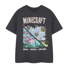 (7-8 Years, Charcoal) Minecraft Girls Build Create Explore T-Shirt