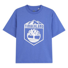 (12 Years, Blue) Timberland Childrens/Kids Logo Crew Neck T-Shirt