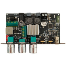 1001UM 5.3 Power Amplifier Board Subwoofer Power Amplifier Mono 100W Amplifier Module with Microphone Reverb