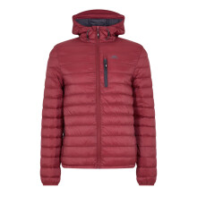 (XS, Burgundy/Grey) Trespass Mens Digby Puffer Jacket