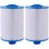 Replacement spa filter for Jacuzzi, 2 pieces Pleatco PWW50 compatible 1