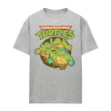 (S, Athletic Heather) Teenage Mutant Ninja Turtles Womens/Ladies Silly Turtles Heather T-Shirt