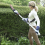 ECKMAN 9ft Hedge Trimmer Double Blade Garden Tool 2