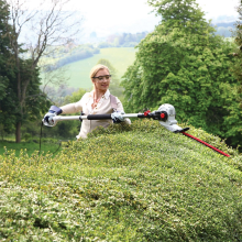 ECKMAN 9ft Hedge Trimmer Double Blade Garden Tool