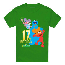 (M, Kelly Green) Sesame Street Unisex Adult 17th Birthday T-Shirt