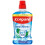 Colgate Colgate Plax Cool Mint Mouthwash, 1L 1