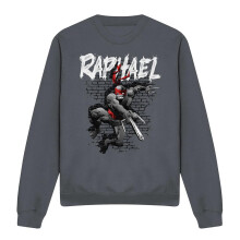 (XL, Charcoal) Teenage Mutant Ninja Turtles Unisex Adult Raphael Sweatshirt
