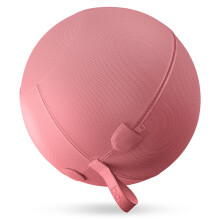 Bala Balance Ball - Chaise d'exercice pour Yoga, Pilates, Barre, renforcement musculaire et thérapie physique