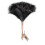 Plume Duster, Duster en Plume d'Ostrich Ddzmz avec Long Manche en Bois Réutilisable 1
