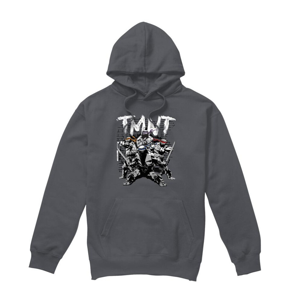 Teenage Mutant Ninja Turtles (Xxl, Charcoal) Mens Tmnt Team Hoodie