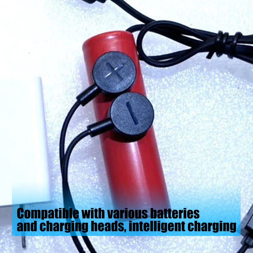 Charger For Various Lithium Batteries Including Magnetic Technology 7695001231718