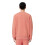 Lacoste (M, Sierra) Lacoste Mens Print Sweatshirt 2