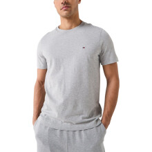 (Grey, 2XL) Tommy Hilfiger Mens T Shirts Sleeve Summer
