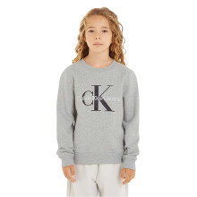 (16 Years, Light Grey) Calvin Klein Childrens/Kids Logo Sweatshirt