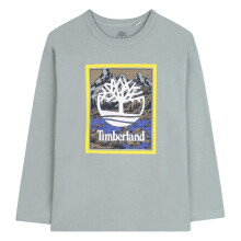 (16 Years, Grey) Timberland Boys Mountain Logo T-Shirt