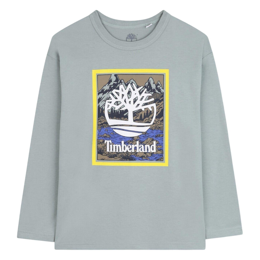 Timberland (14 Years, Grey) Boys Mountain Logo T-Shirt