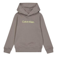 Calvin Klein Childrens/Kids Logo Regular Hoodie