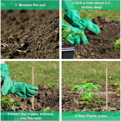 10 Estacas Eletrolíticas para Plantas, Antena de Bobina de Cobre de 17 Polegadas para Jardim, Plantio Eletrônico de Horta 2