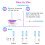 Easy@Home 50 Ovulation Test Strips and 20 Pregnancy Test Strips, Ovulation and P 7