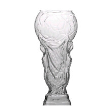 (450ML, transparent) World Cup 2026 Water Cup – Durable Borosilicate – for Outdoor Events & Football Enthusiast Gift