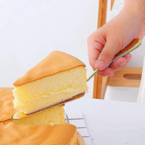 Stainless Steel Multi-use Cake, Pie & Pizza Server - Divider Knife 1
