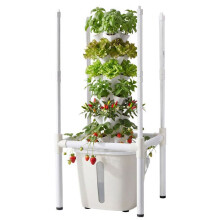 Tour Hydroponique à 6 Niveaux-Duoku-avec 30 Emplacements, Système de Culture pour Herbes, Fruits et Légumes, Lampe LED