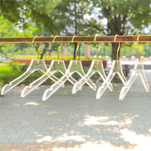 15 Pcs Clear Clothes Hangers with Gold Hook, Transparent Shirts Dress Coat Hanger with Notches for Lady Kids Small