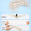 Finger Cot - 100pcs Latex Finger Cots Medium Latex Finger 5