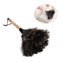 Roexboz Duster Lavable Doux Antistatique en Plumes d'Autruche avec Long Manche en Bois
