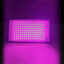 Lampe LED 100 W Ă spectre complet pour le semis et la floraison