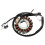 Statorspule für YFM250 Bear Tracker YFB250 1994-2000 4BD-85510-20-00 1