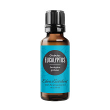 Aceite Esencial de Eucalipto - Globulus 100% Puro, Grado Premium, Natural, Terapéutico, Ideal para Difusor y Velas