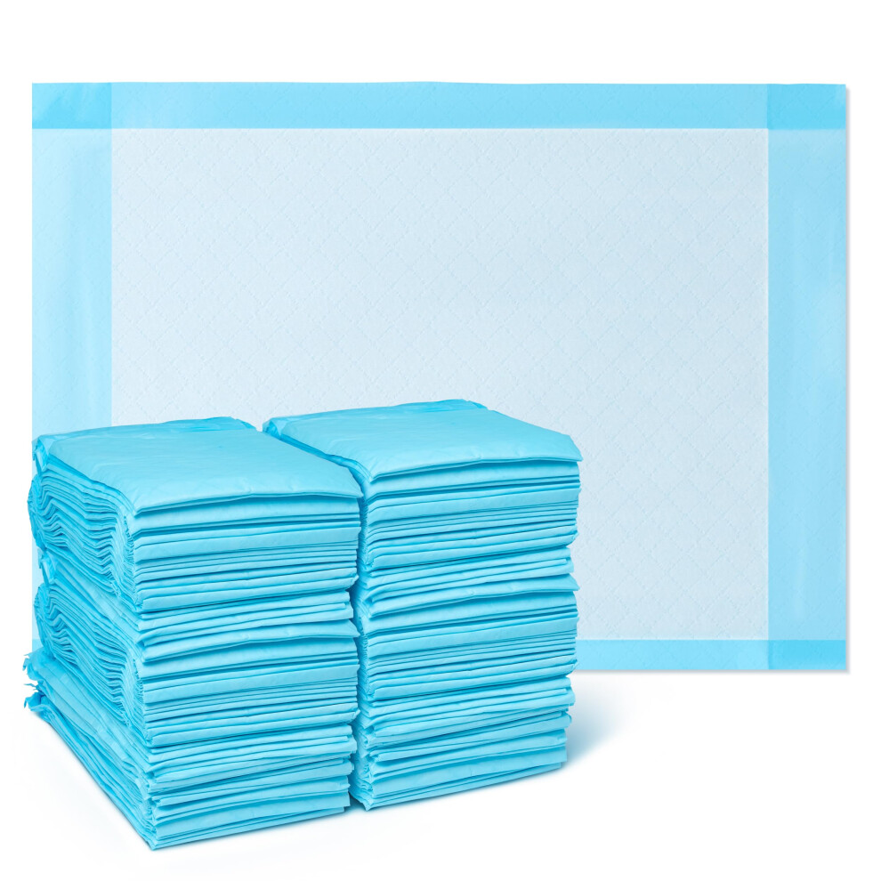 Medline Light Absorbency Underpad, 17" X 24", 100 Count, Disposable Chucks, Bed, Furniture & Surface Protection, For Kids, Adults, Elderly, Puppy Pad,