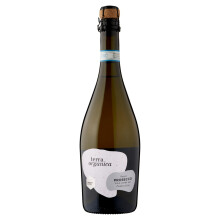 Terra Organica Prosecco D.O.C. 10.5% ABV, 1 x 75cl - Italian Light and Extra Dry