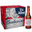 Budweiser Lager Beer Bottle 12 x 300ml 1